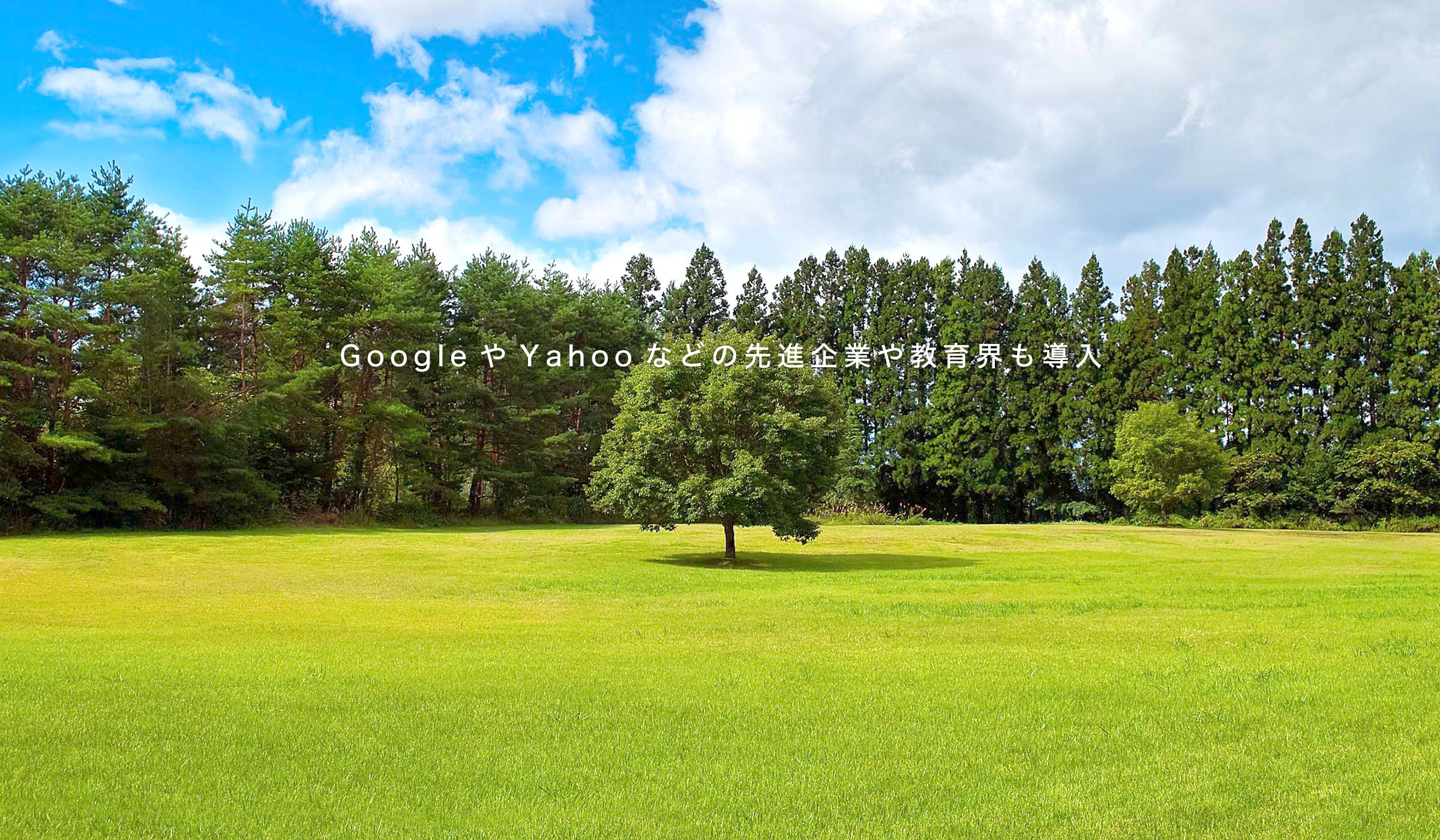 最新の脳科学を用いたマインドフルネス講師養成のプログラム