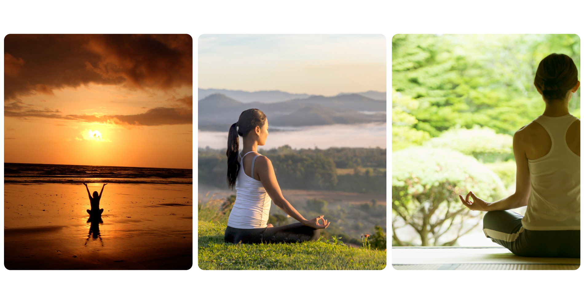 健康マインドフルネス協会のマインドフルネス瞑想と脳科学の知識